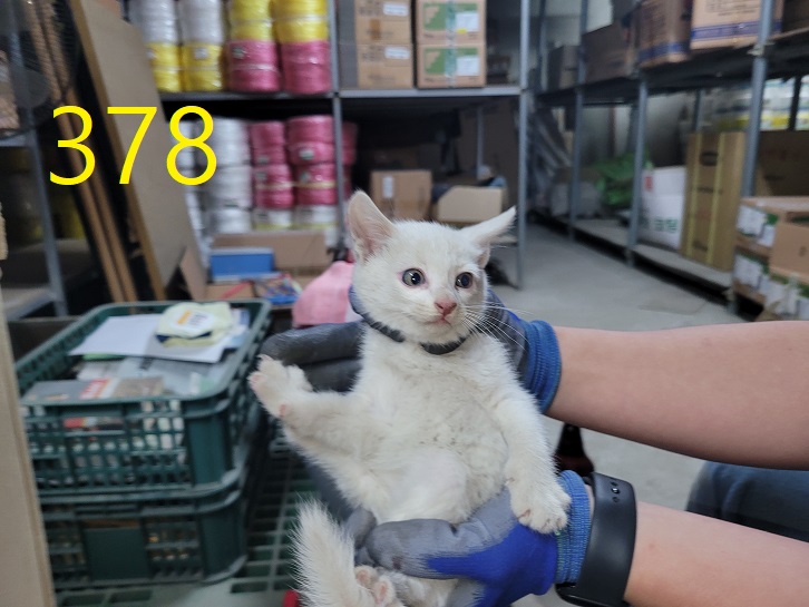 신영재동물병원_428355202300595